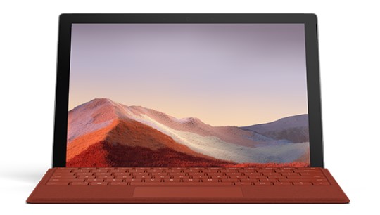 甘洛清洁和维护 Surface